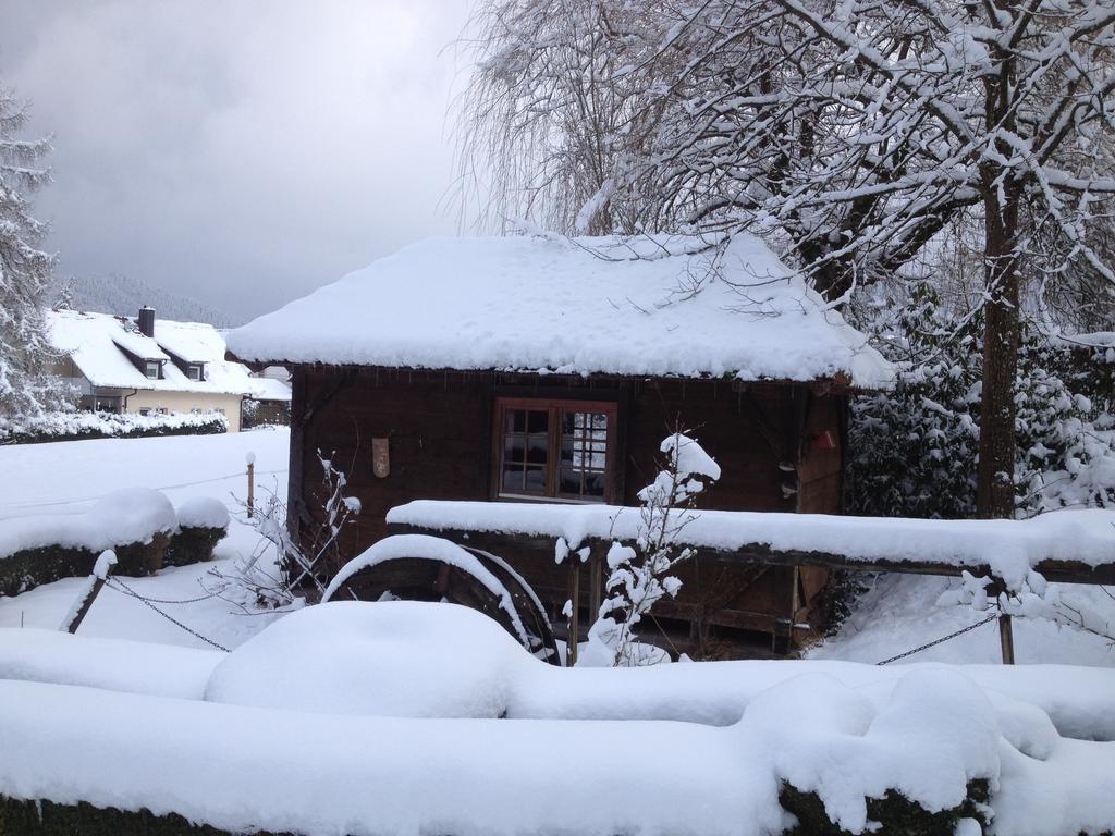 Mattenhof Zell am Harmersbach Dış mekan fotoğraf