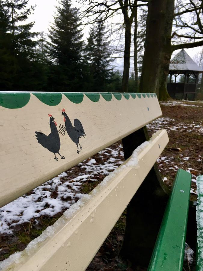 Mattenhof Zell am Harmersbach Dış mekan fotoğraf