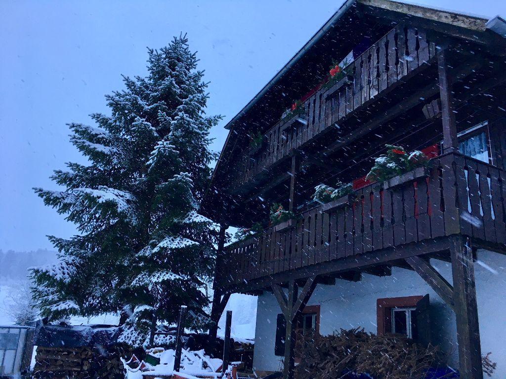 Mattenhof Zell am Harmersbach Dış mekan fotoğraf